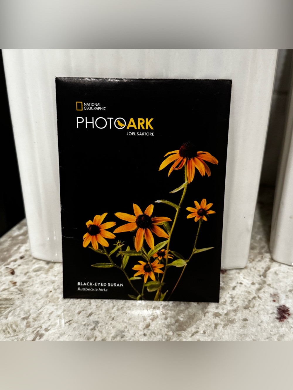 National Geographic Yellow & Black Black-Eyed Susan Seeds